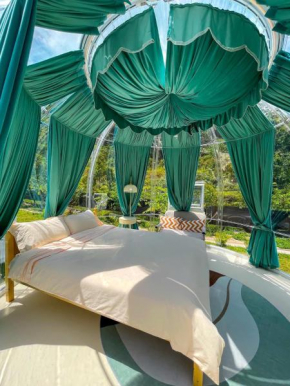 The Starry Dome Couple Room